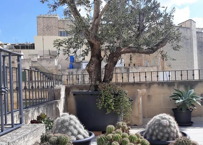 فندق مبيت وإفطار The 3cities 4*